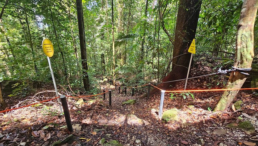 Bukit Patoi Recreational Park, Temburong District, Brunei